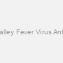Rift Valley Fever Virus Antibody